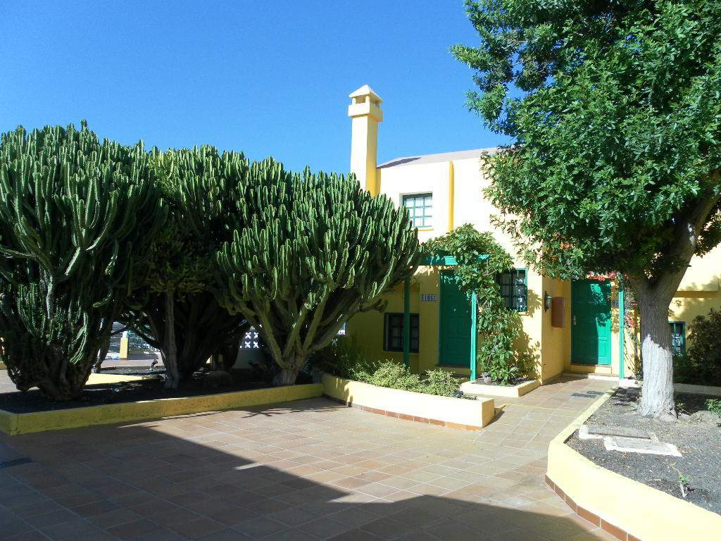 Tao Caleta Playa Daire Corralejo Dış mekan fotoğraf